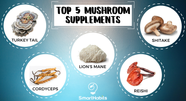 Top Five Mushroom Supplements