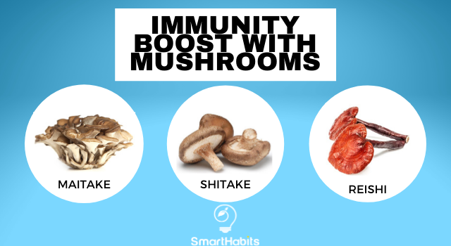 Healing Mushrooms: Nature’s Way to Boost Your Immune System